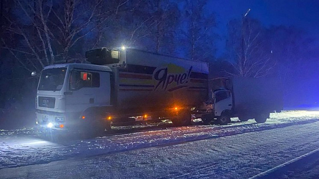 Под Новосибирском водитель грузовика врезался в припаркованную фуру и погиб