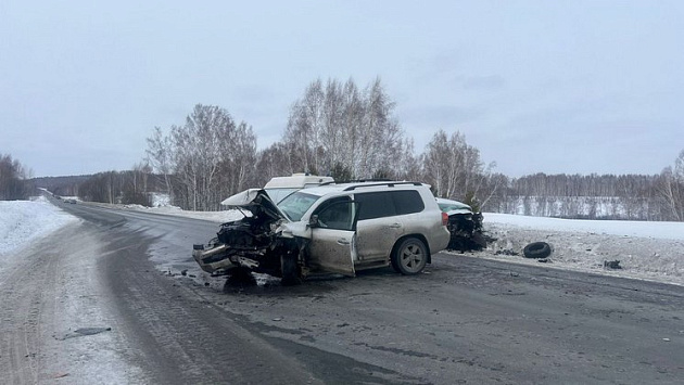 В Новосибирской области 65-летний водитель погиб в страшной аварии