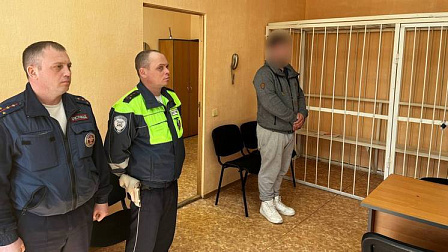 В Новосибирске вынесли приговор автолюбителю за любовь к тонировке
