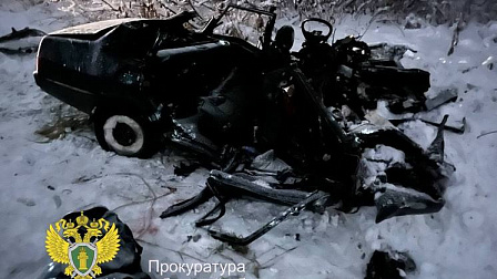 Четверо взрослых и двое детей погибли в ДТП на трассе в Новосибирской области