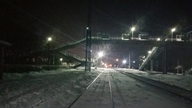 Пассажирский поезд насмерть задавил 53-летнего мужчину под Новосибирском