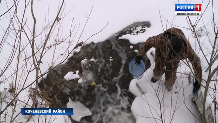 Жители Коченевского района фиксируют сбросы неизвестной жидкости в реку Чик
