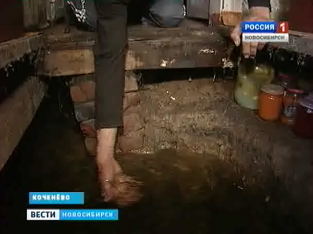 На нескольких улицах в поселке Коченево затоплены огороды и дома