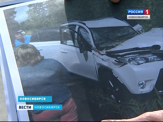 Жительница Новосибирска попала в реанимацию после падения тополя