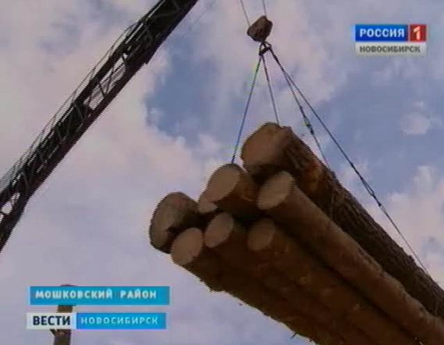 В Новосибирской области осваивают переработку древесины