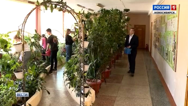 Ученики и учителя превратили новосибирскую гимназию в цветущий сад