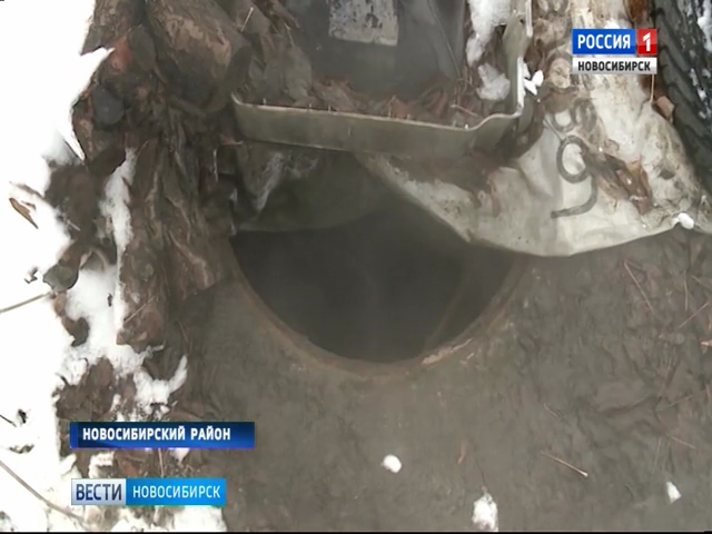 Дачники Новосибирского района пожаловались «Вестям» на смрад от сливов ассенизаторской машины