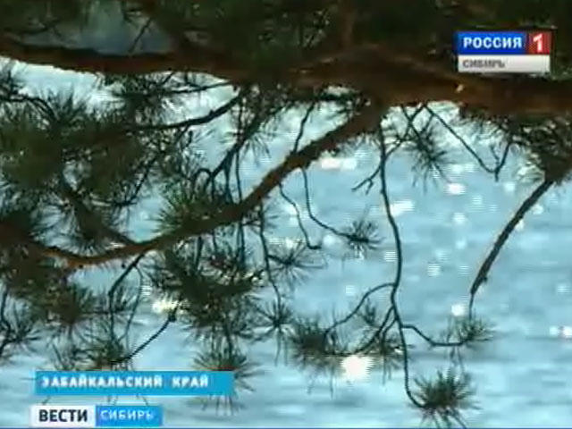 Забайкальскому озеру Арей присвоят долгожданный статус природного парка