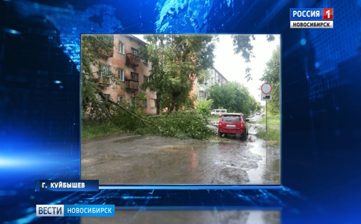 Штормовой ветер оборвал провода и повалил деревья в Куйбышеве