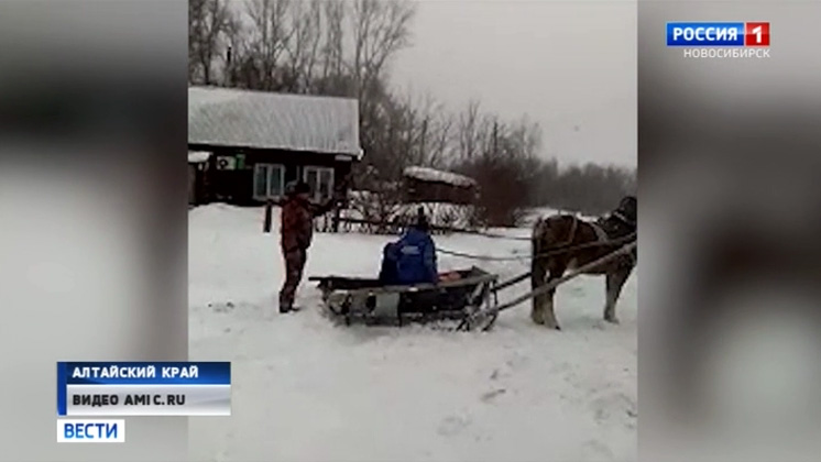 В Сибири врачи скорой помощи пересели на коней из-за непогоды