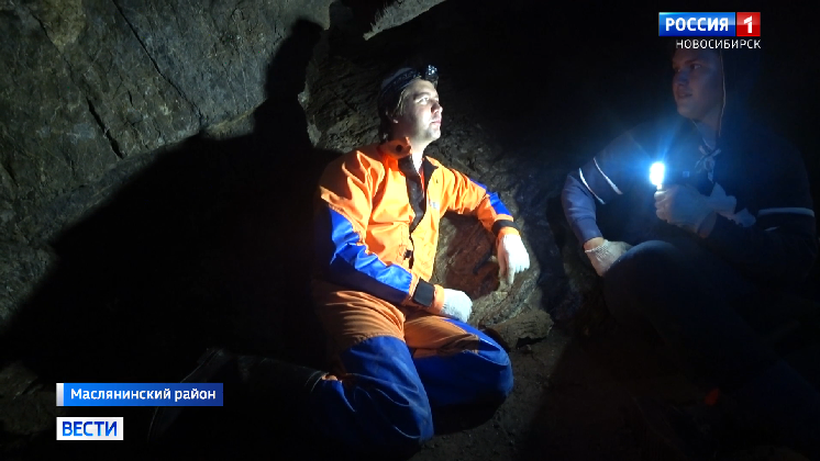 Новосибирские биологи исследуют нетипичное поведение летучих мышей в Барсуковской пещере