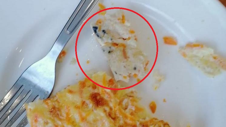 Плесень в еде из школьной столовой обнаружили новосибирские школьники