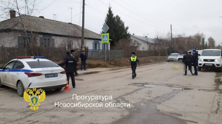 В Бердске осудят водителя, задавившего на переходе восьмилетнего мальчика