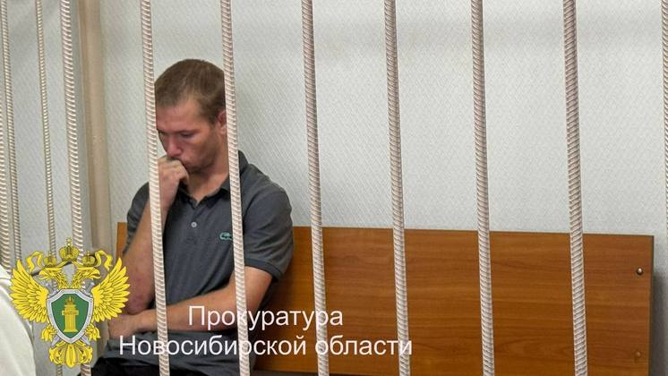 В Новосибирске арестовали одного из обокравших бабушку мошенников