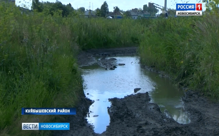 В Новосибирской области выделили миллиард рублей на осушение болот