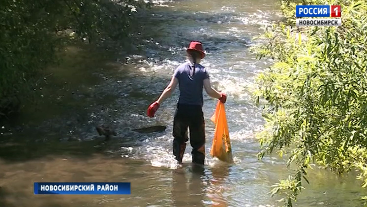 Новосибирские волонтеры продолжают очищать реку Издревую