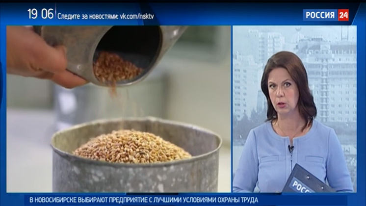 Российская гильдия пекарей и кондитеров прокомментировала «хлебный рейтинг» Роскачества