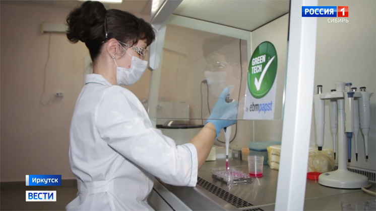 Возможности выращивания живых тканей изучают иркутские учёные