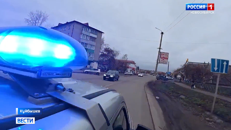 Из-за медведей в Куйбышевском районе Новосибирской области ввели особый режим