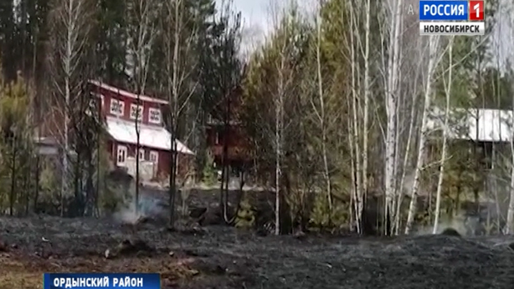 Несколько туристических баз едва не сгорели в Ордынском районе