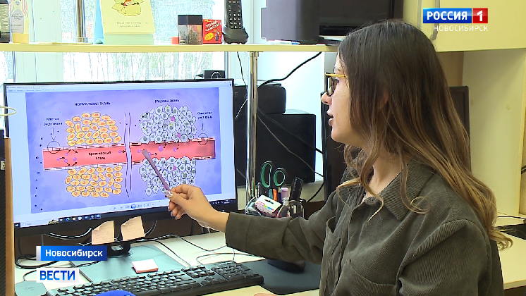 Созданные новосибирскими учеными наночастицы мела помогут в борьбе с раком