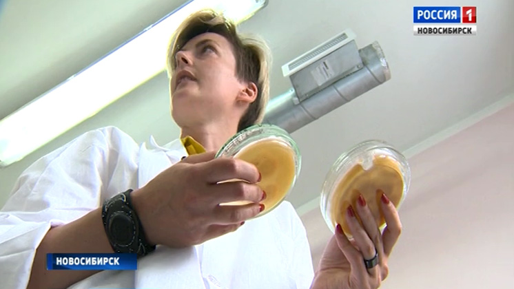Хищный гриб против нематоды: ученые из Кольцова разработали препарат для борьбы с вредителями