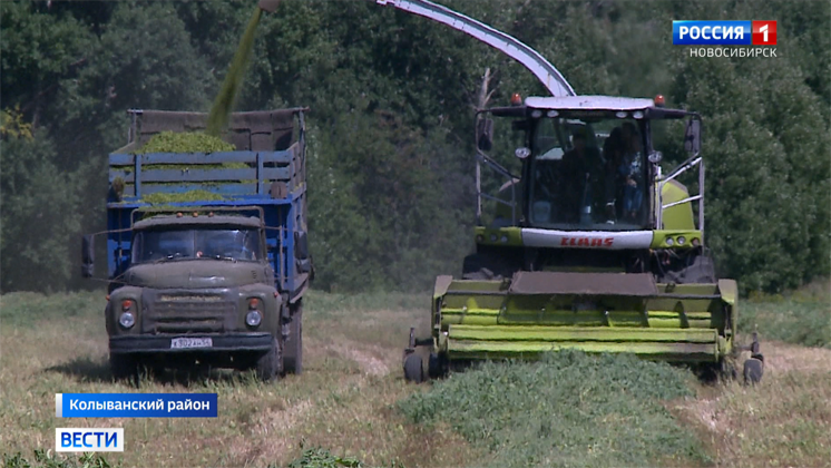Ход заготовки кормов в хозяйствах Новосибирской области проверила комиссия