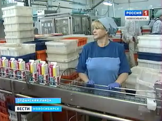 Животноводство в Новосибирской области выходит на новый уровень