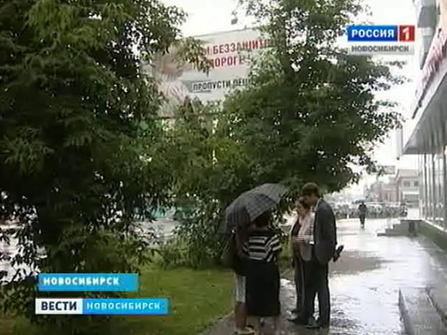 Жители дома на улице Нарымской защитили зеленые насаждения от рекламщиков