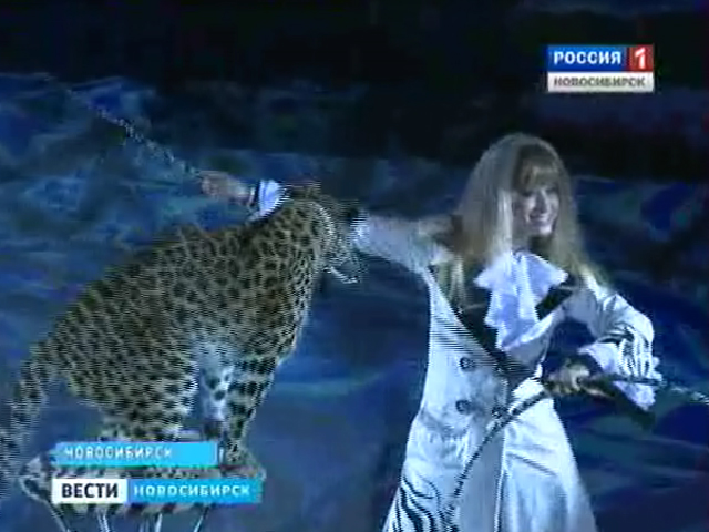 Дрессированные волки и гибкие леопарды - в новосибирском цирке новая программа