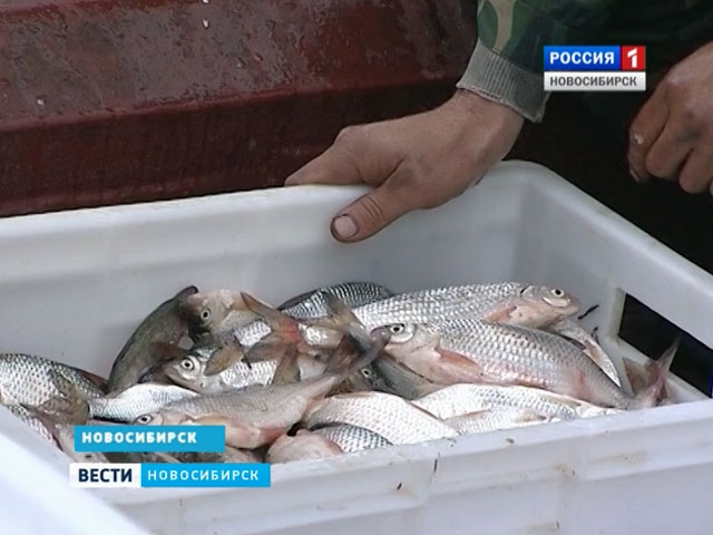В Новосибирске прошло заседание рыбохозяйственного совета