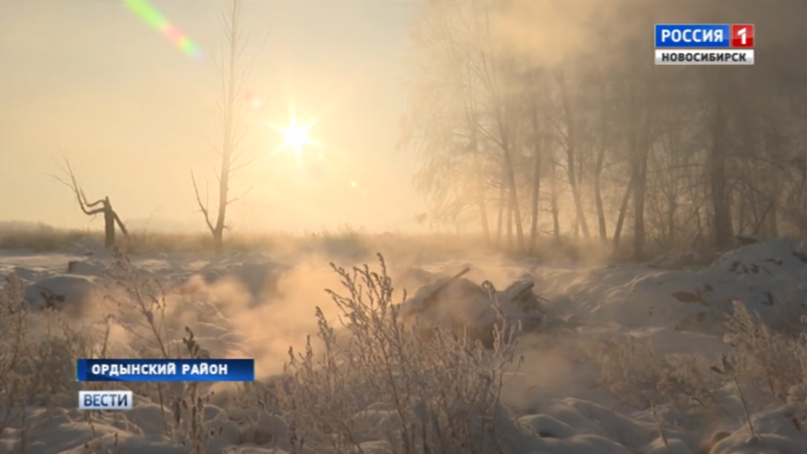 В Ордынском районе Новосибирской области горит свалка