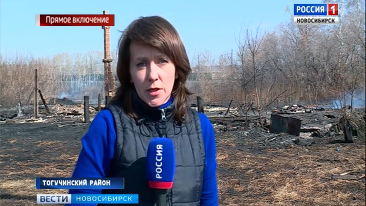По факту крупного пожара из-за пала травы в Тогучинском районе возбудили уголовное дело