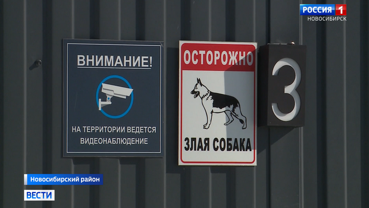 «Вести Новосибирск» узнали подробности нападения алабая на 17-летнего подростка