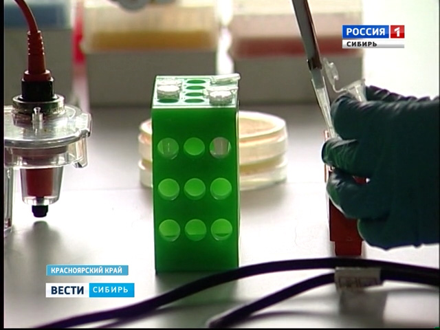 Красноярские и новосибирские ученые создали биосенсор по выявлению клещевого энцефалита