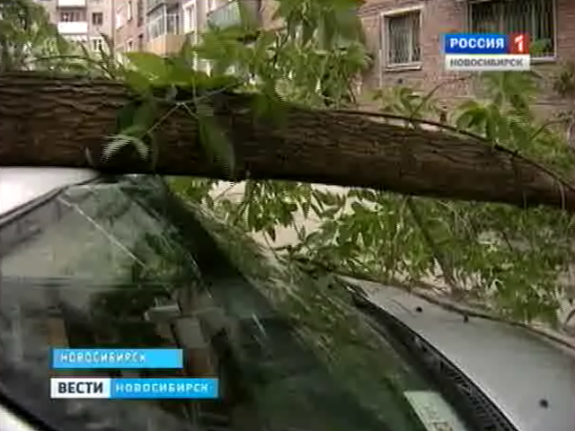 Кто ответит за ущерб? Хозяйка покалеченного автомобиля в поисках правды