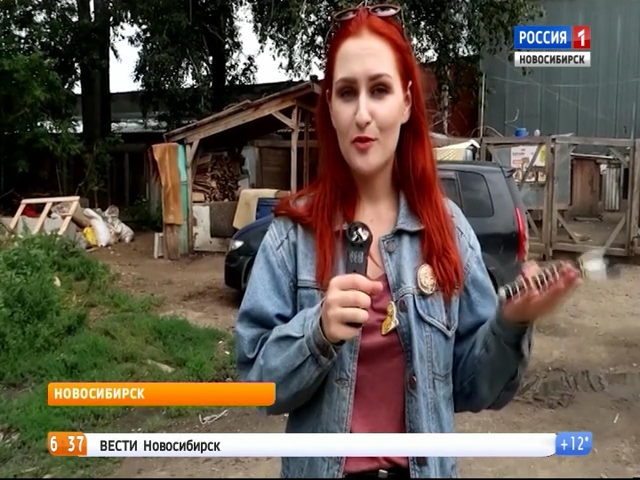 Новосибирские блогеры отмечают профессиональный праздник