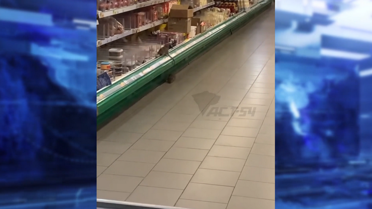 В Новосибирске крысы устроили бега по полкам в продуктовом магазине