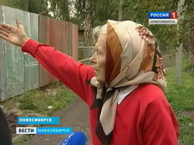 Новосибирские дачники спорят из-за самовольно присвоенной территории