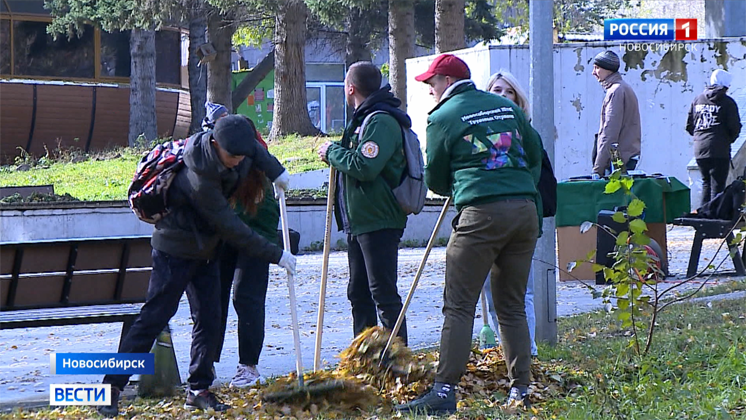 Школьники и студенты помогают одиноким пенсионерам в Новосибирске