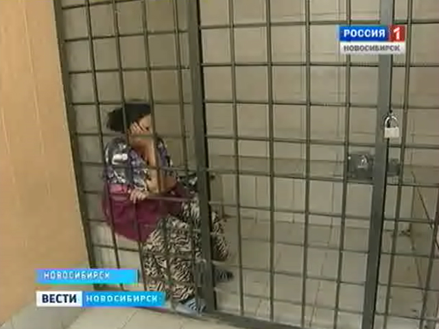 В Новосибирске расследуют дело о разбойном нападении на пенсионерку