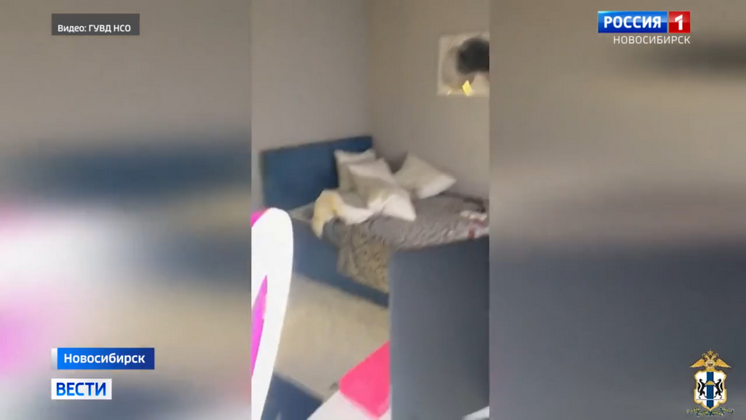 В Новосибирске задержали организаторов порностудии