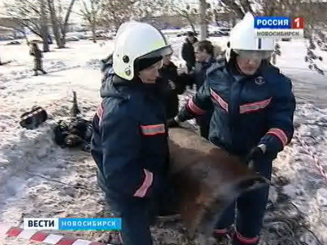 В Новосибирске спешно расчищают ливневую канализацию