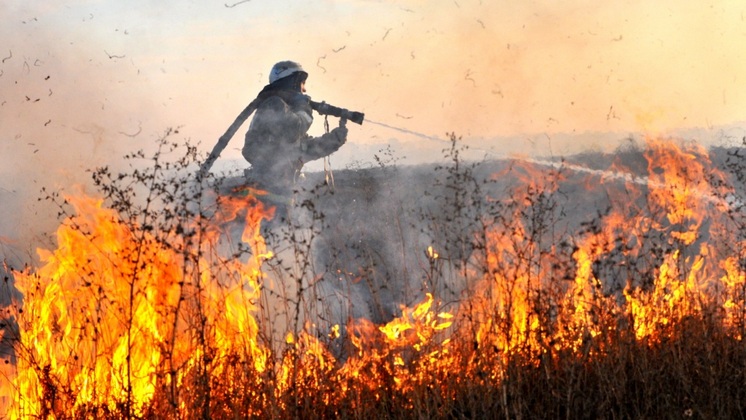 В Новосибирской области осложнилась пожароопасная ситуация