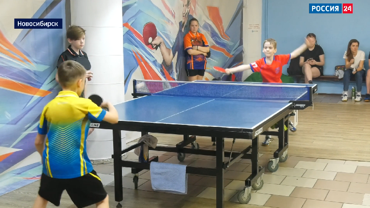 Спортивная среда. Спорткомплекс Север  Новосибирск первенство СФО по боксу 2022. Первенство СФО волейбол. Чемпионат СФО по боксу 2022 Новосибирск. В Новосибирском спорткомплексе «Север» первенство СФО по боксу.