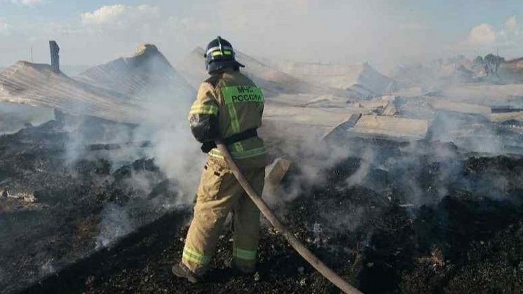 В Новосибирской области при пожаре на ферме сгорели 40 телят и две свиньи