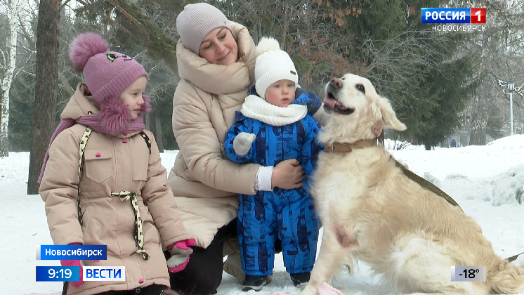 В Новосибирске собаки из приютов для животных стали фотомоделями