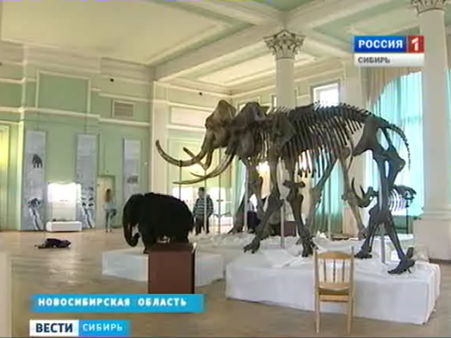 Чем удивит жителей сибирских регионов музейная ночь