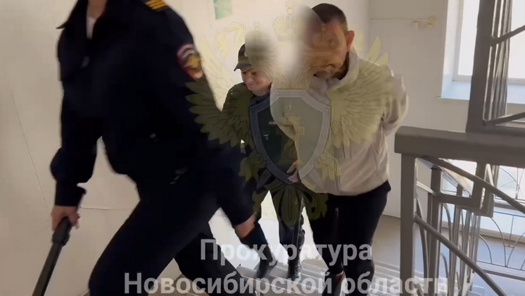 В Новосибирске адвокат получил условный срок за попытку обмануть подзащитного