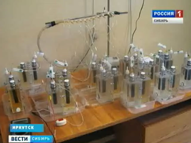 Иркутские ученые научились получать электричество за счет очистки сточных вод